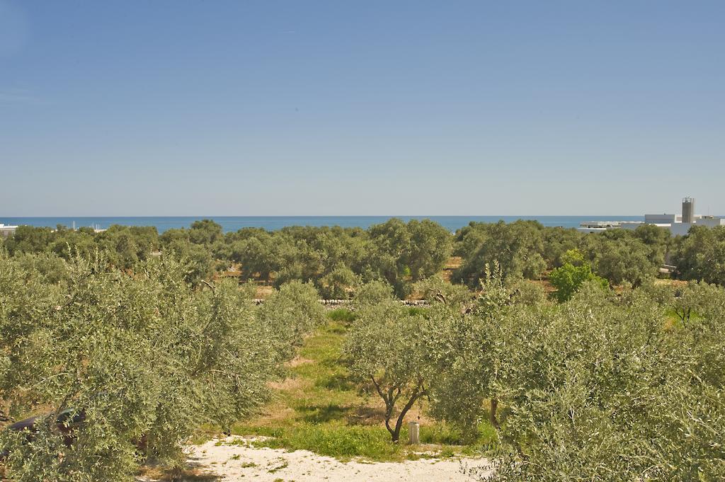 Masseria Spina Resort Монополи Номер фото